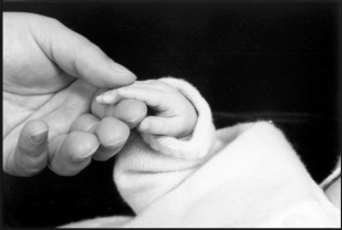 Screen Shot 2018-05-11 at 8.02.36 PM.png